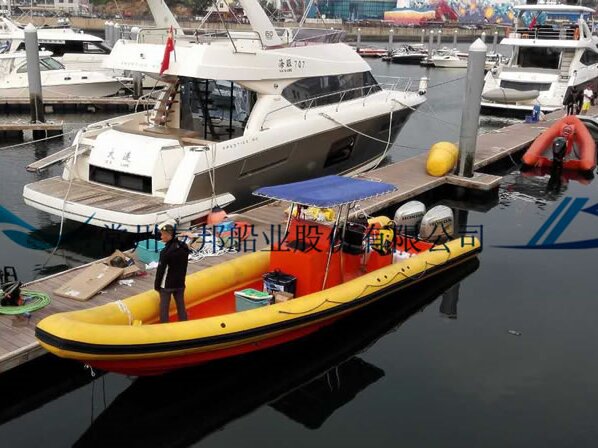  RIB-750
